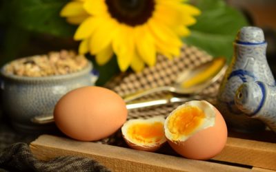 Have You Heard About Choline?